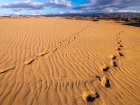 Dunes de Maspalomas